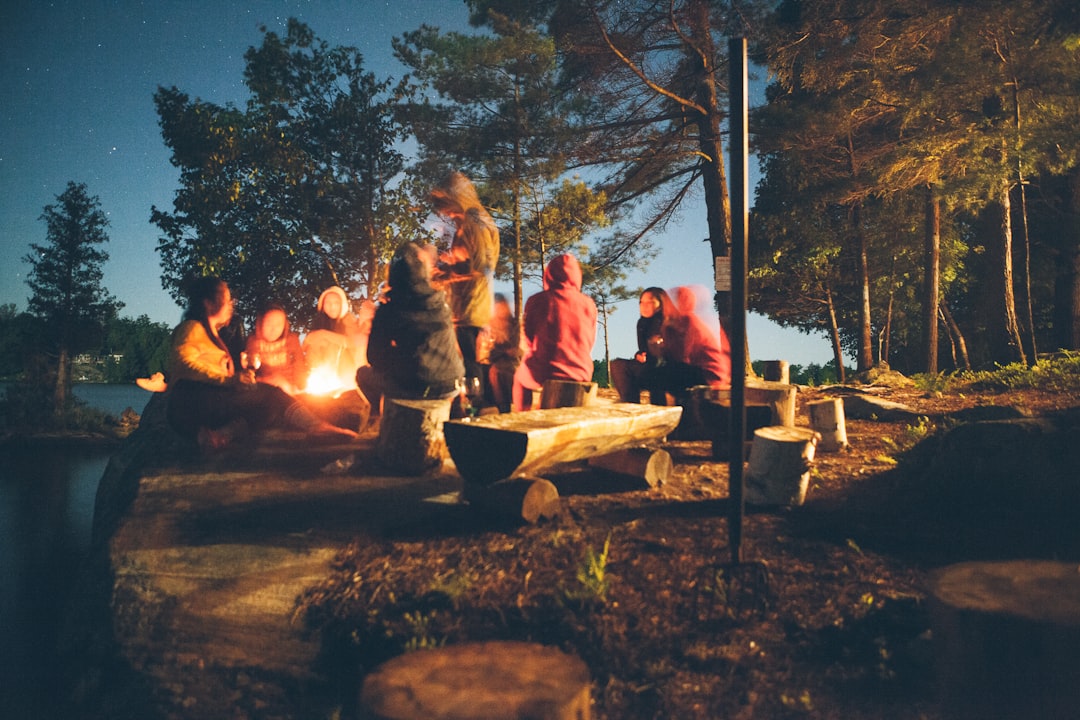 Campingplads nær Ribe: Oplev Naturen og Kulturen