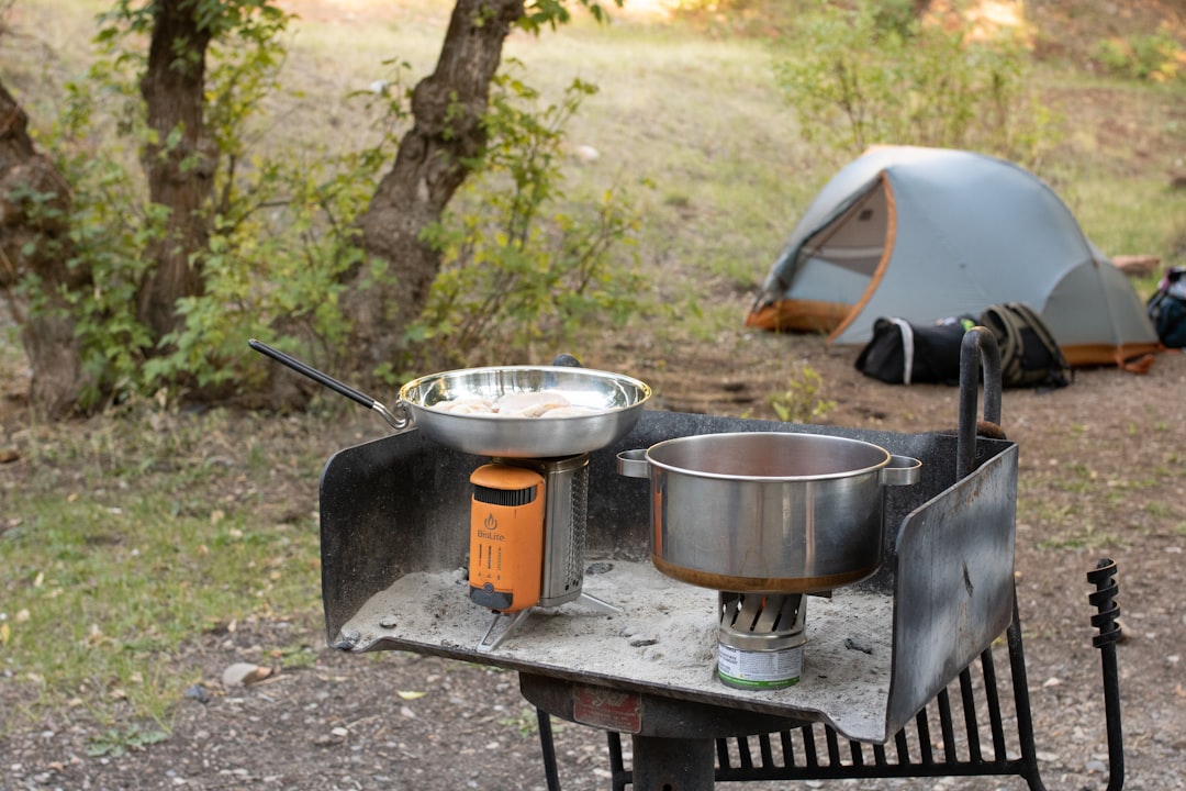 Oplev den perfekte campingferie på Ribe Camping
