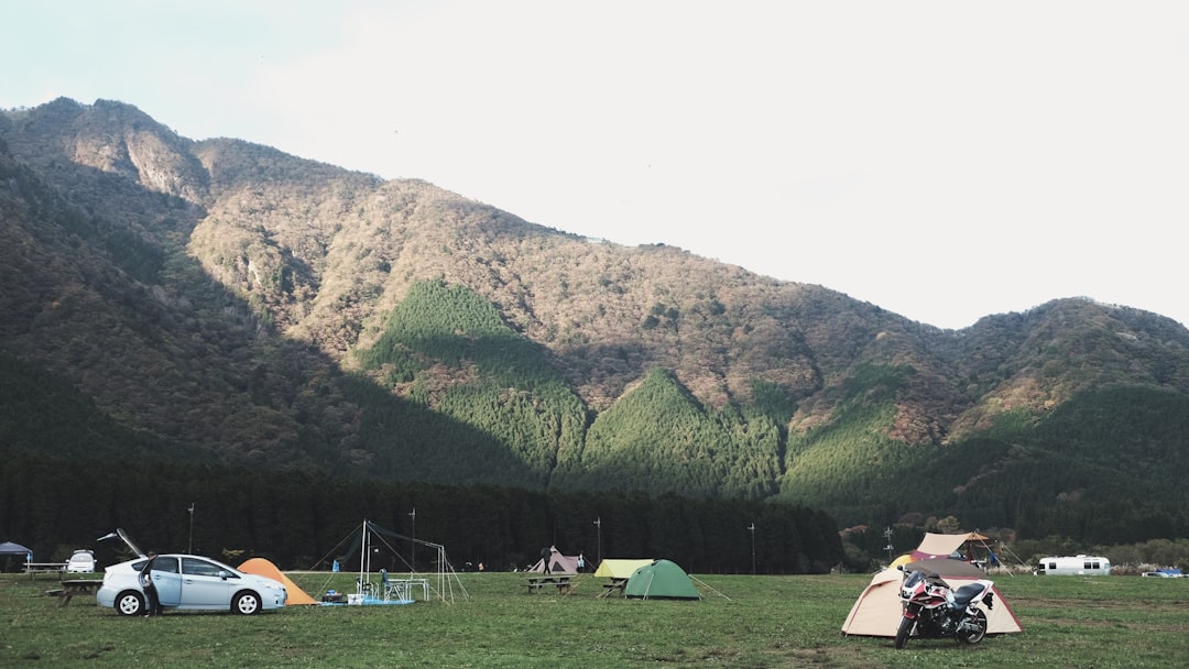 Oplev den perfekte campingferie på Ribe Camping